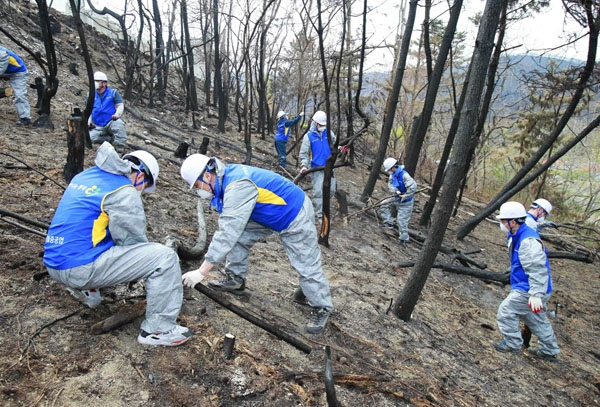 현대중공업그룹 직원들이 23일부터 25일까지 3일간 강원도 고성 산불 피해지역을 찾아 구호활동을 펼쳤다.