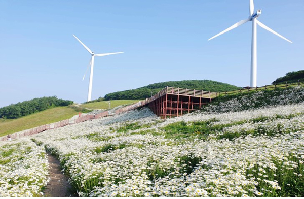 한국종합기술이 풍력발전 수주 행진을 펼치며 기술력을 자랑하고 있다. 사진은 평창 청옥산 풍력발전단지(육백만지기) 전경.