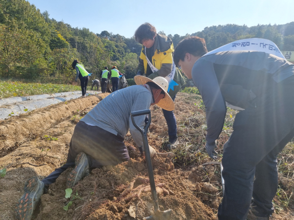 LX광주중부지사 직원들이 농촌일손돕기 활동에 나서고 있다.(사진제공 : LX광주중부지사)
