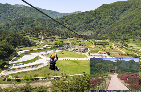 전북 정읍 구절초 테마공원 사계절 활성화 조성사업 모습.(자료제공 : 국토부)