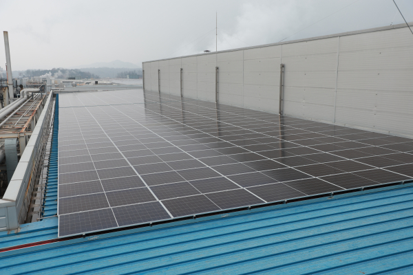 엔라이튼이 준공한 넥스플렉스 증평 공장 지붕태양광.
