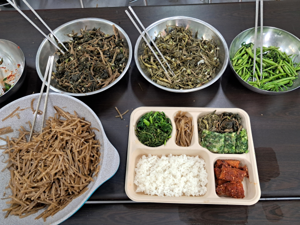치유도시락